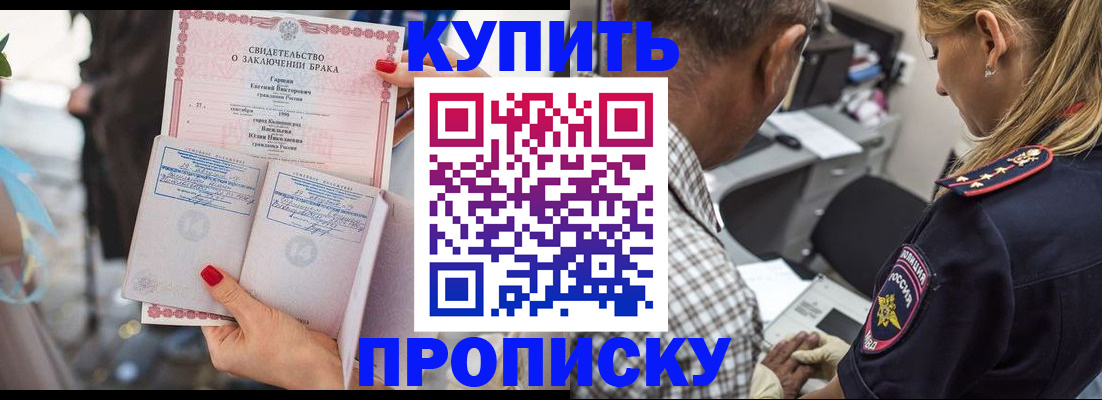 прописка законно в Североморске
